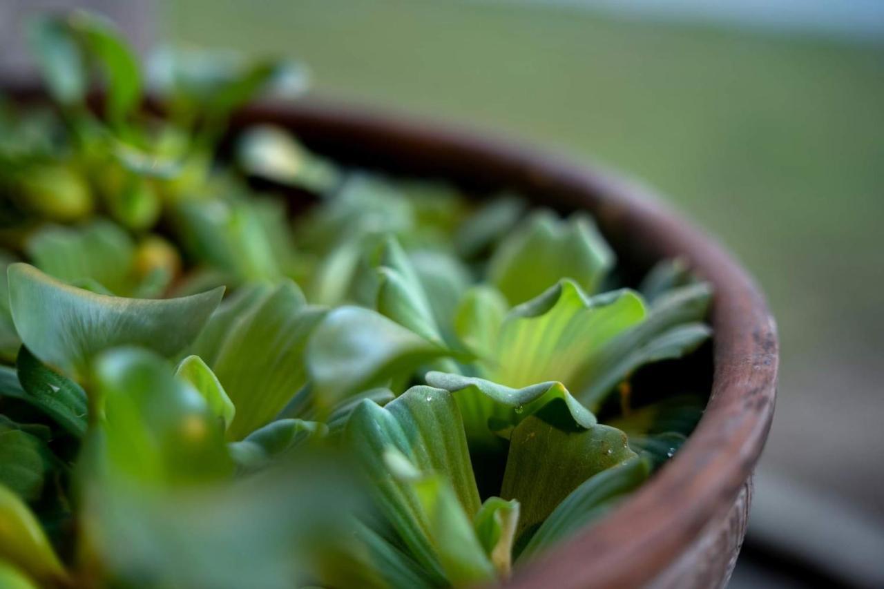 조호르 바루 Eco Haus Garden Residential 빌라 외부 사진